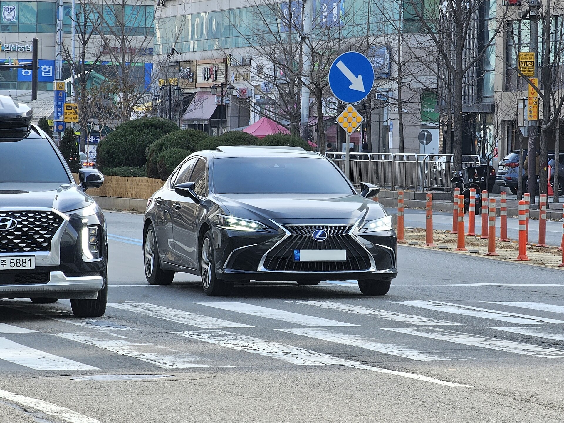 렉서스 ES300h 뒷좌석 승차감 후기, 부모님용 세단으로 괜찮을까 대표 이미지