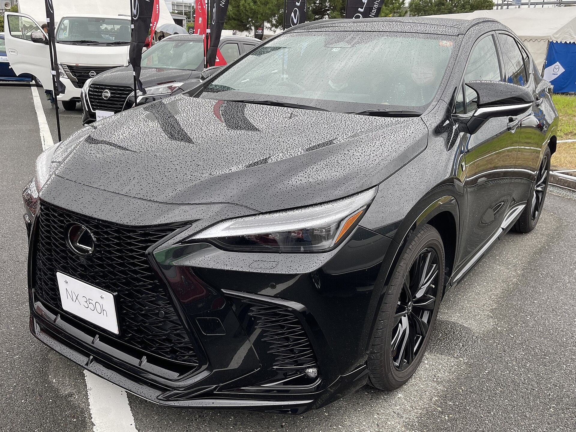 렉서스 NX350h 유지비와 보유 조건 이미지